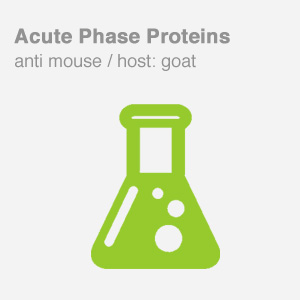 Acute-Phase-Proteins-anti-mouse
