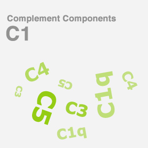Complement-Components-C1