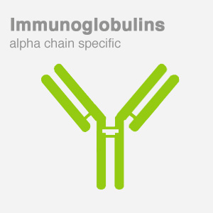 Immunoglobulins-alpha