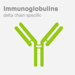Anti-Human IgG antibody - Immunoglobulins-delta