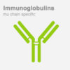 Anti-Human IgG antibody - Immunoglobulins-mu